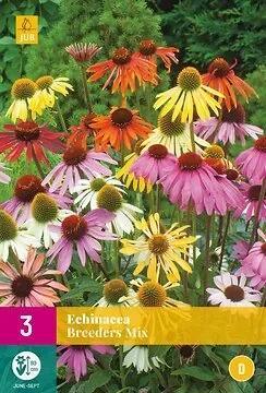 Echinacea Breeders Mix