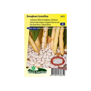Droogboon Cannellino