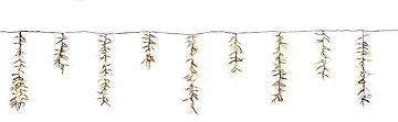 IJspegelverlichting cluster 528 lampjes 15 pegels 3.5 m luxury color