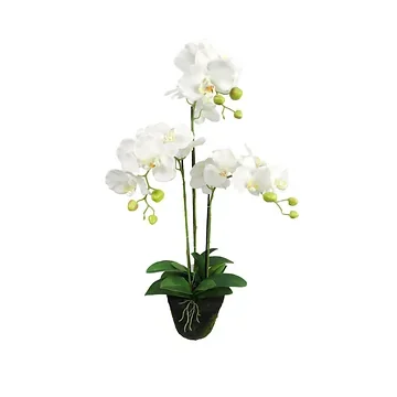 Kunstplant Orchidee 3 taks wit 80 cm