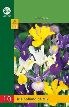 Low Budget Iris Hollandica Mix