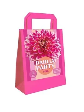 Zak 2 Dahlia Party Pink