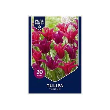 Pure Bulbs Tulipa Twins Mix 15 bollen
