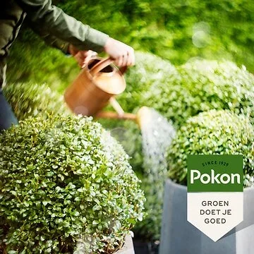 Pokon Bio Ilex & Buxus Voeding 500ml
