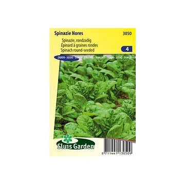 Spinazie Nores