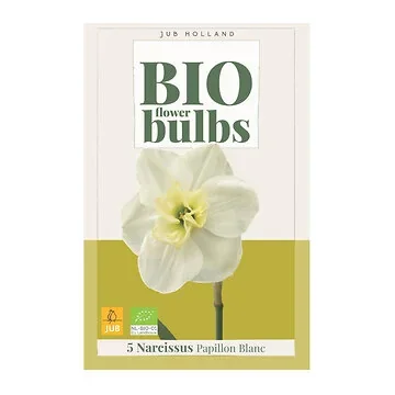 JUB Holland Narcissus Papillon Blanc 5 bollen