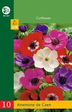 Low Budget Anemone De Caen Mix