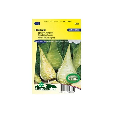 Spitskool Filderkraut