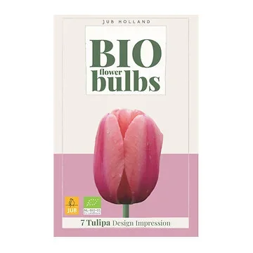 JUB Holland Tulipa Design Impression 7 bollen