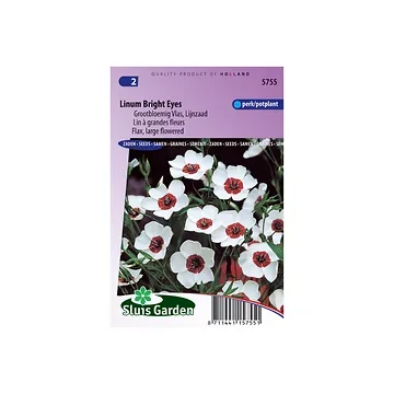 Linum grandiflorum Bright Eyes
