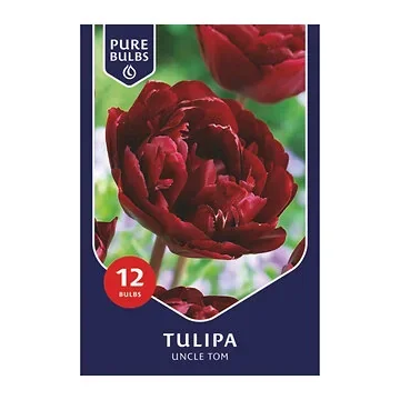 Pure Bulbs Tulipa Uncle Tom 12 bollen