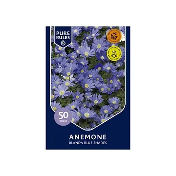 Pure Bulbs Bloembollen Anemoon (Anemone 'Blanda Blue Shades') 50 stuks