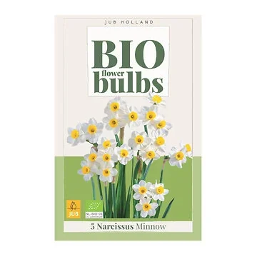 JUB Holland Narcissus Minnow 5 bollen