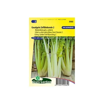 Bleekselderij Goudgele Zelfblekende 2
