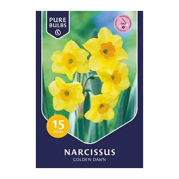 Pure Bulbs Narcissus Golden Dawn 15 bollen