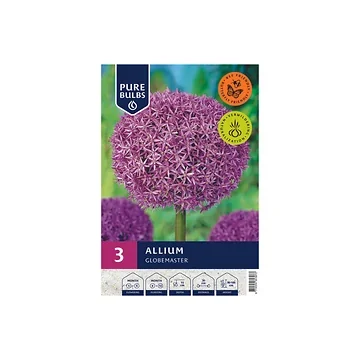 Pure Bulbs Bloembollen Sierui (Allium 'Globemaster') 3 stuks