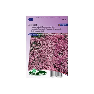 Saponaria ocymoides Rose-Pink