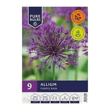 Pure Bulbs Allium Purple Rain 9 bollen