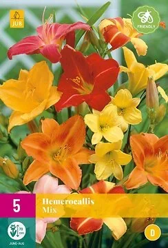 Hemerocallis Mix