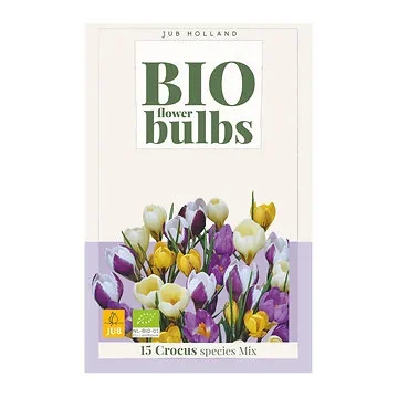 JUB Holland Crocus Species Mix 15 bollen