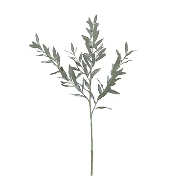 Decoratietak Olijftak 100 cm