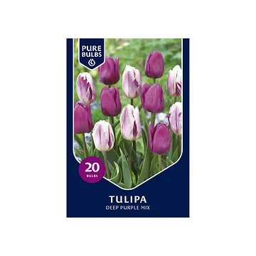 Pure Bulbs Tulipa Deep Purple Mix 12 bollen