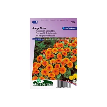 Calendula off. fl. plena Orange Gitana