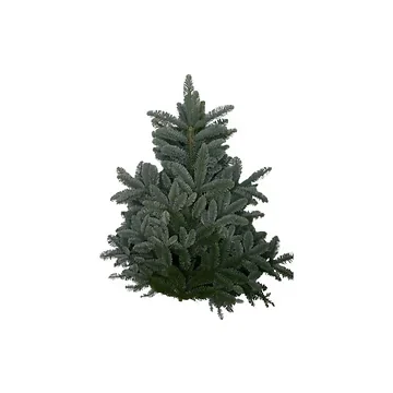 Nobilis pak 5 kg Kerstgroen