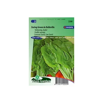 Zuring Green de Belleville Rumex a.
