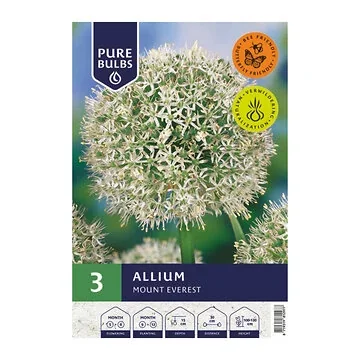Pure Bulbs Allium Mount Everest 3 bollen