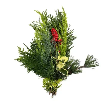 Nordmann Handbos Kerstgroen