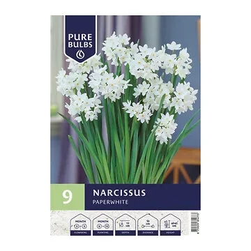 Pure Bulbs Narcissus Paperwhite 9 bollen