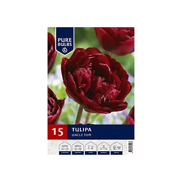 Pure Bulbs Tulipa Uncle Tom 12 bollen