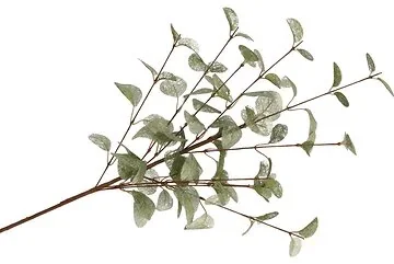 Kunsttak Silk Euca Cinerea Groen 72cm