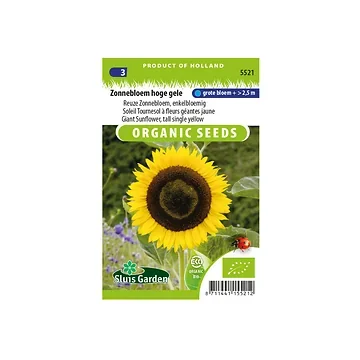 Helianthus an.gig. Hoge gele BIO