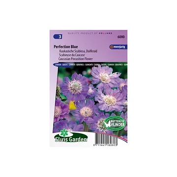 Scabiosa caucasica Perfection Blue