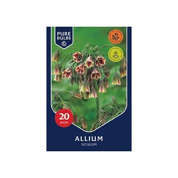Pure Bulbs Allium Siculum 9 bollen