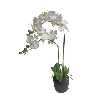 Kunstplant Orchidee 2 taks wit 64 cm