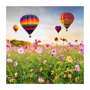 Anna's Collection Tuinposter Buitencanvas Luchtballonnen 78 x 78 cm