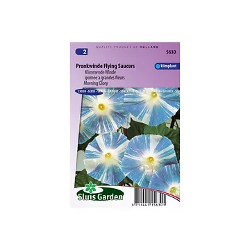 Ipomoea tricolor Flying Saucer