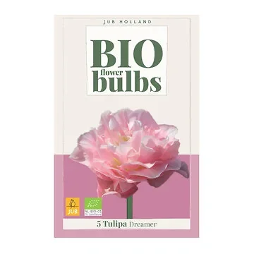JUB Holland Tulipa Dreamer 7 bollen