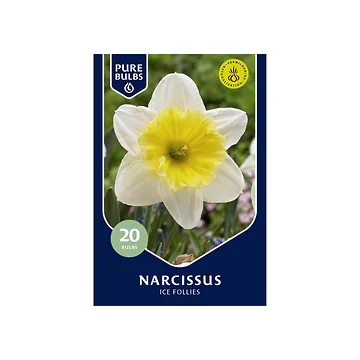 Pure Bulbs Narcissus Ice Follies 20 bollen