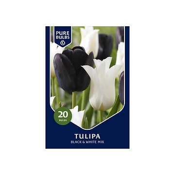 Pure Bulbs Tulipa Black & White Mix 15 bollen