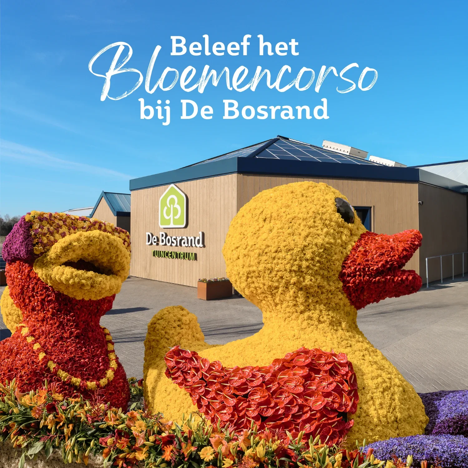 Bloemencorso