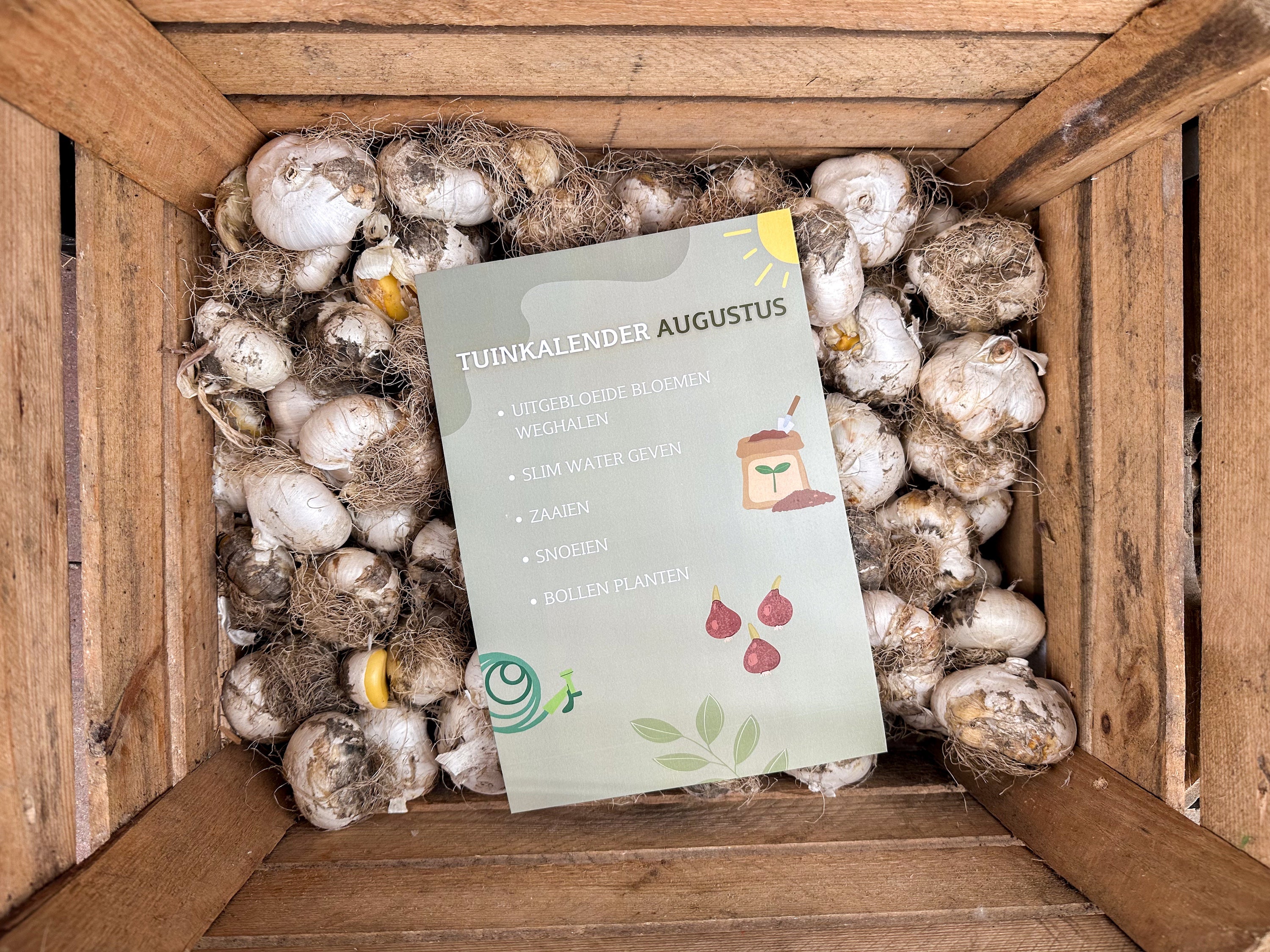 Tuinkalender augustus