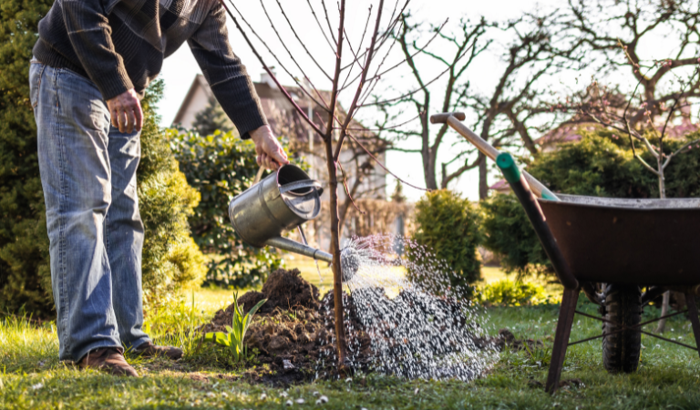 Op vakantie? Tips voor je tuinplanten