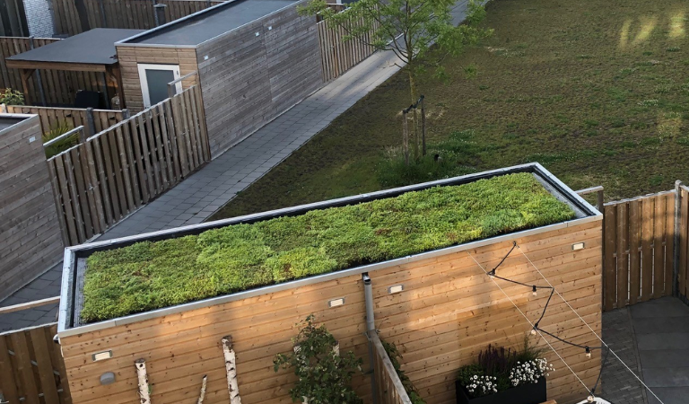 Sempergreen: de oplossing voor een groen dak