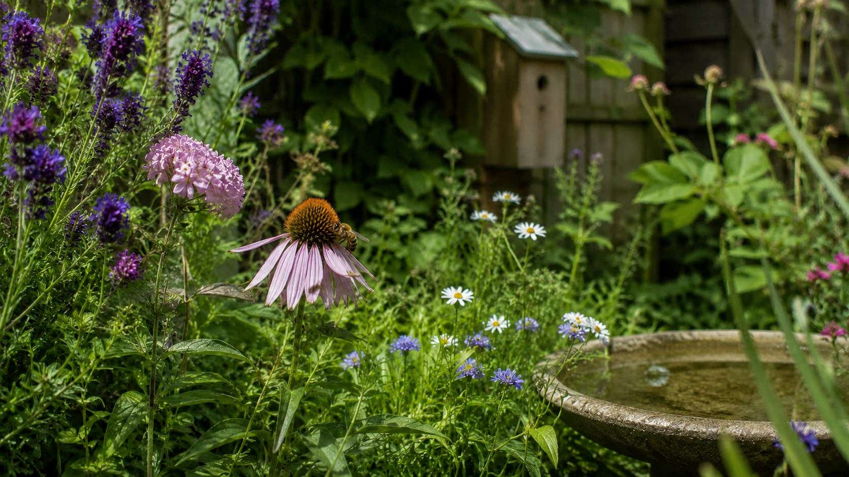 Biodiverse tuin met bloemen, vogelbad, insectenhotel en vogelhuisje