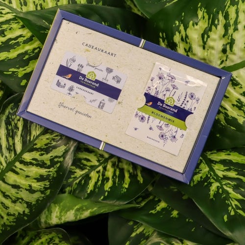 Webshop - Blocks - Categorieen - categorie_cadeaukaart