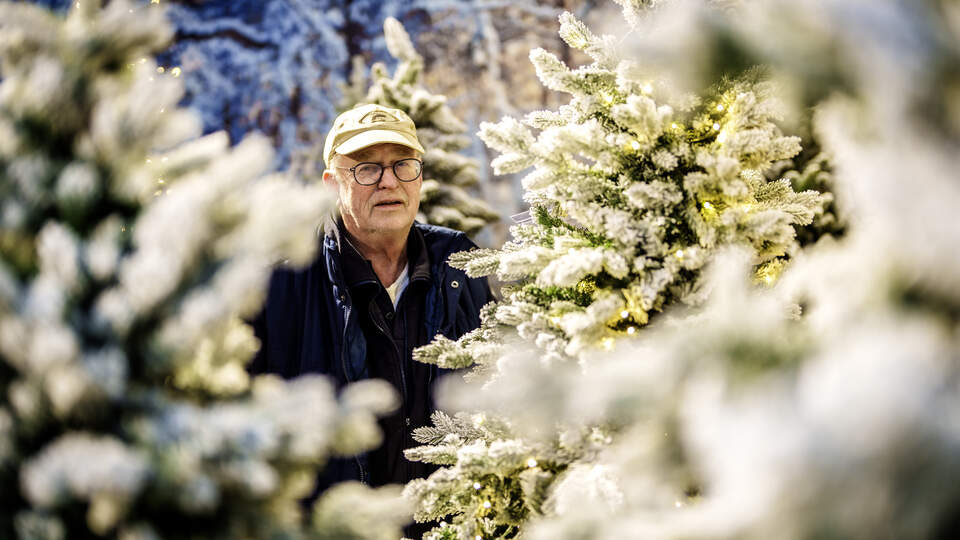 Leidsch Dagblad: Koos van Haaster moet zichzelf soms knijpen als hij naar familiebedrijf De Bosrand bij Wassenaar kijkt. ’Je hebt meer aan een onsje geluk dan een kilo verstand’